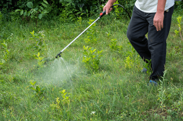 Peace Full Mind Lawn and Ground Maintenance