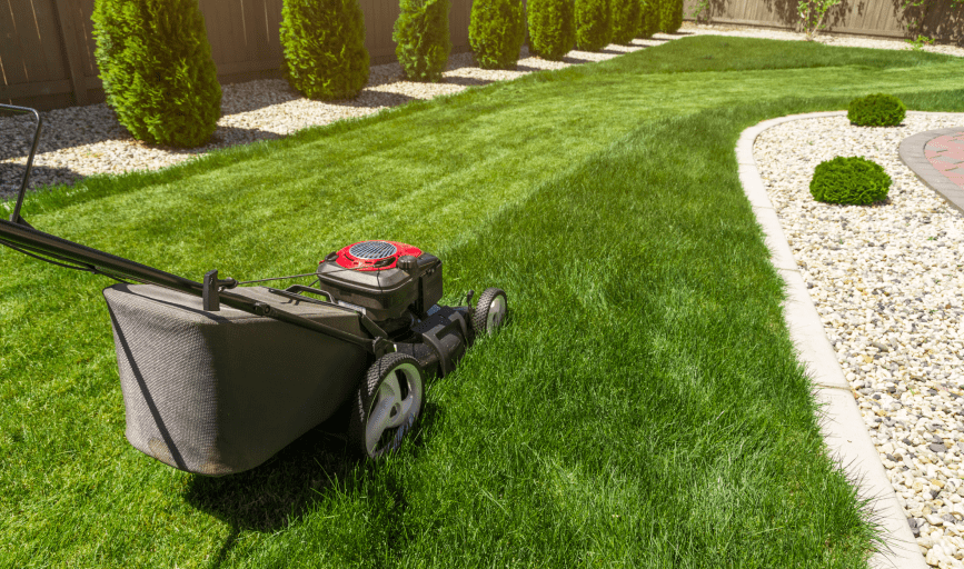 Lawn Mowing